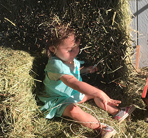 playing in hay